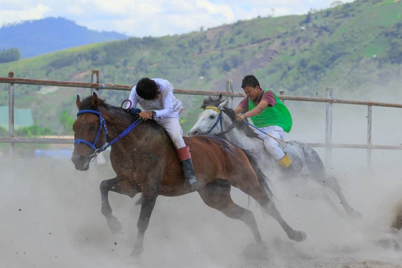 Pacuan Kuda Gayo, 169 Tahun Tradisi dan Hiburan